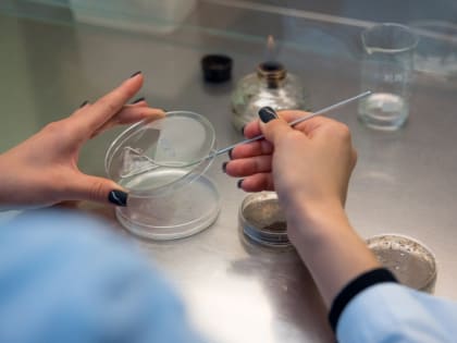 Разработка российских ученых спасет от онкологии