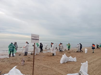 Десант волонтеров из Геленджика работает на пляжах Анапы