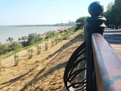 На склонах Приморской набережной скосили траву