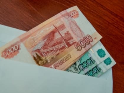 Ежемесячные выплаты от 6000 до 13500 рублей смогут получать семьи с Нового года