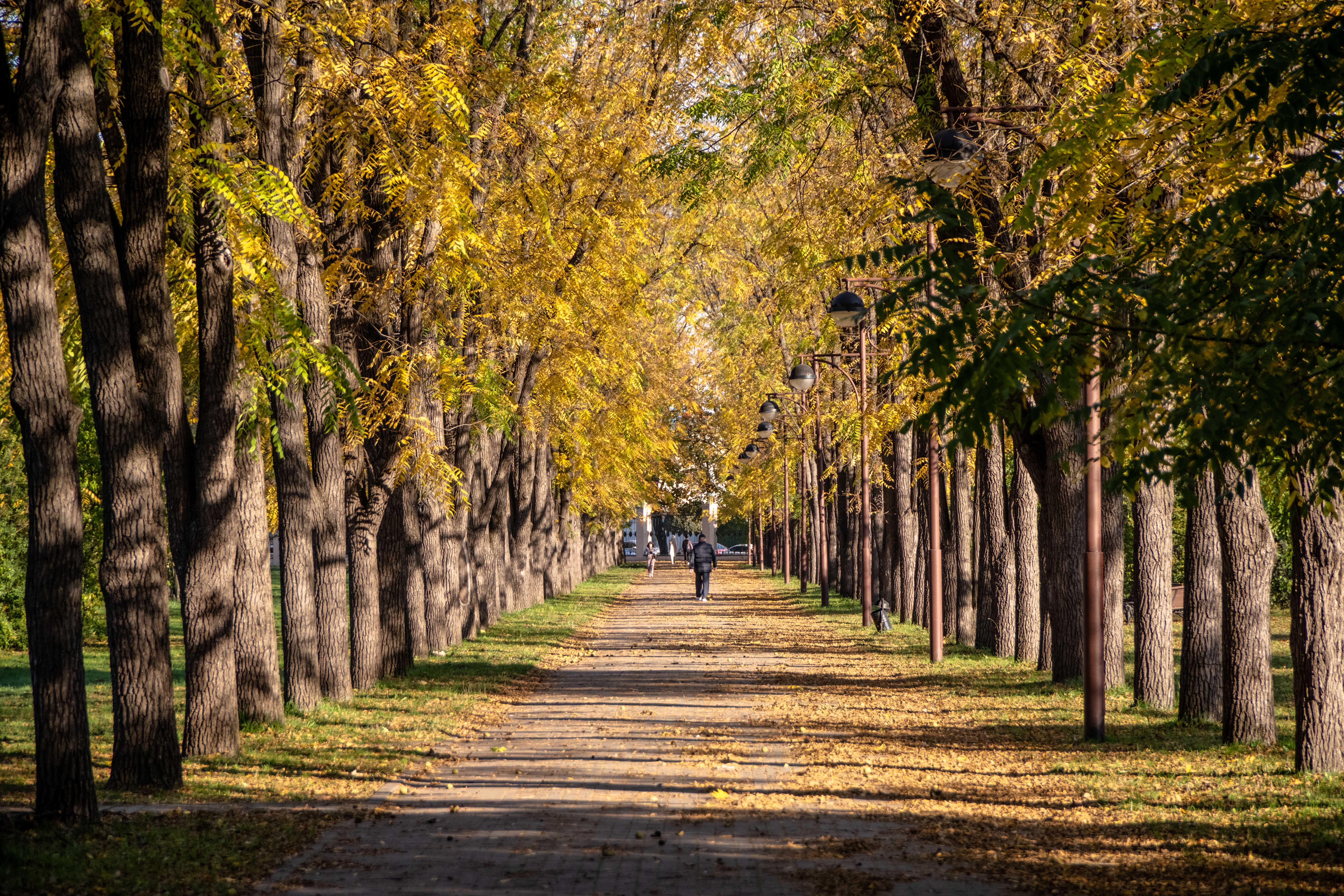 Когда потеплеет в краснодарском крае. Резкие перепады температур. Когда потеплеет в краснодарском крае. Краснодарский край ночью. Ноябрь на юге россии.