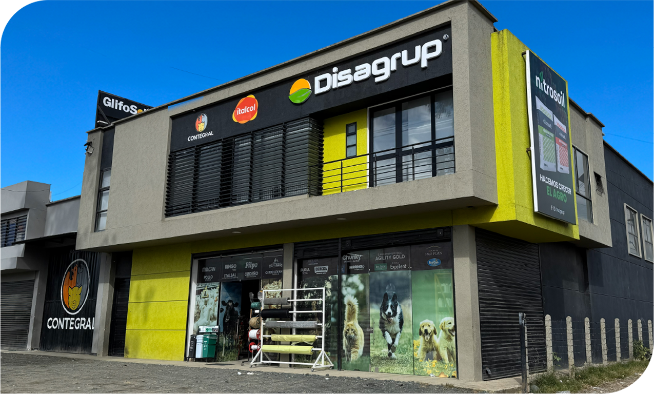 RAÍZ QUE IMPULSA EL FUTURO