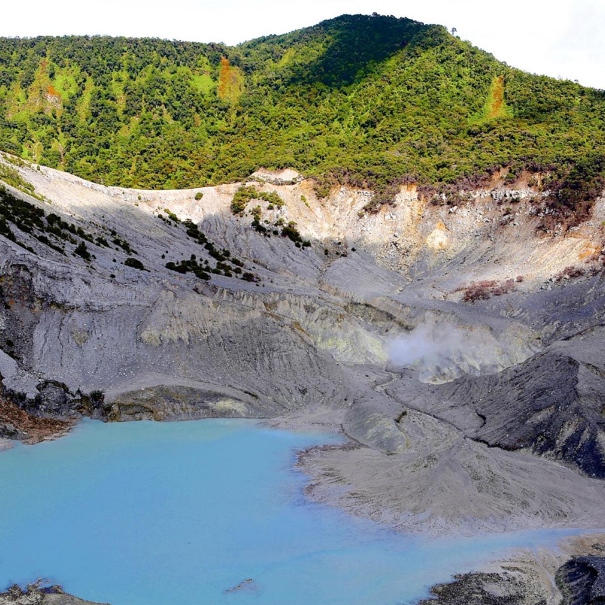 Pemandangan