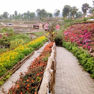 Taman Bunga