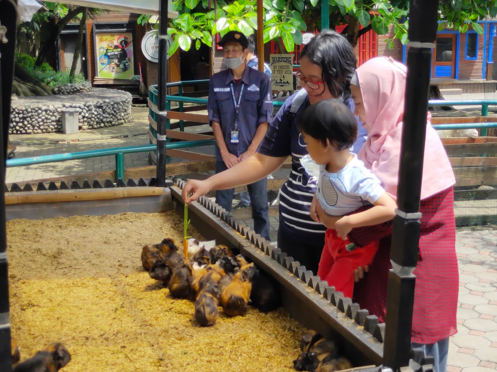 Mini Zoo