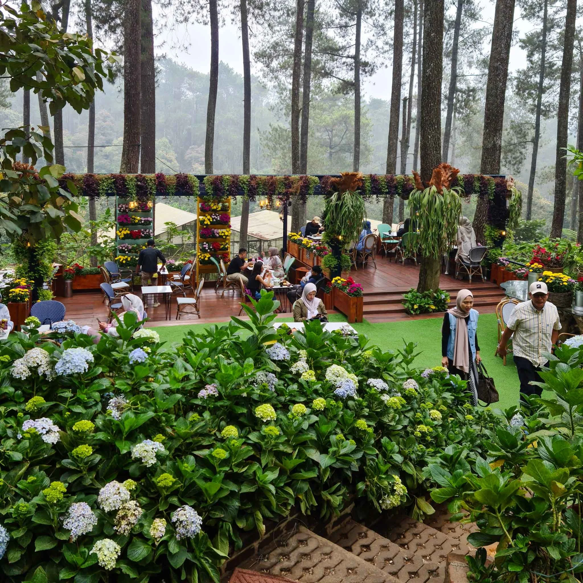 Suasana Malam