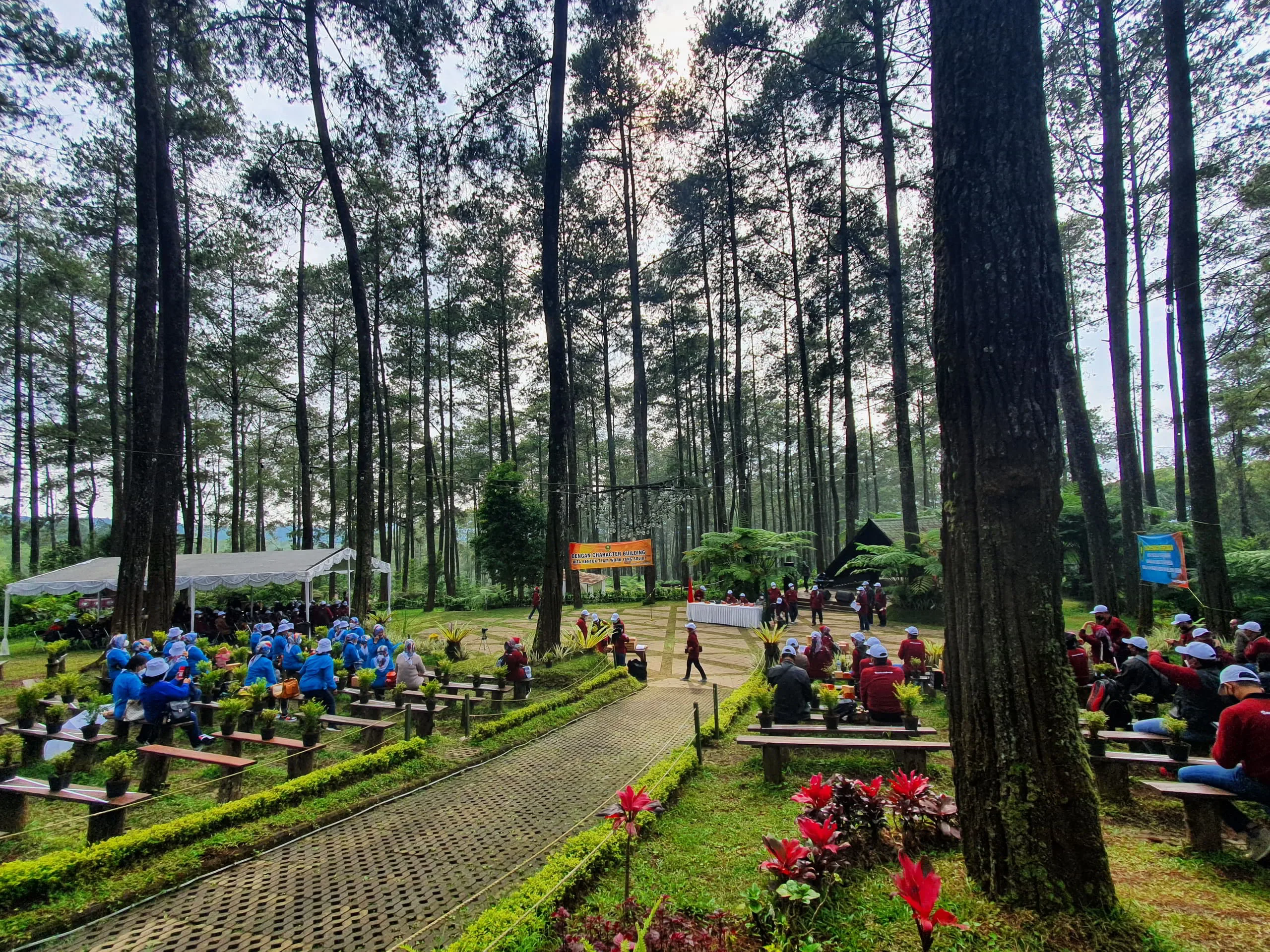 Anggrek Ungu