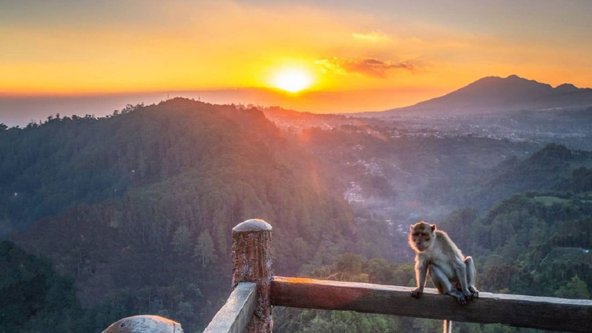 Golden Sunrise