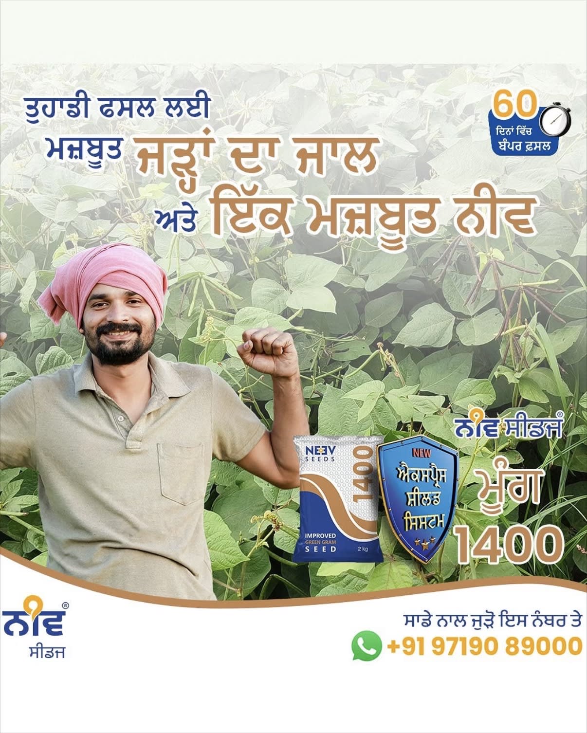 Neev Seeds  in Hisar, Haryana, India, Punjab | PunjabsList
