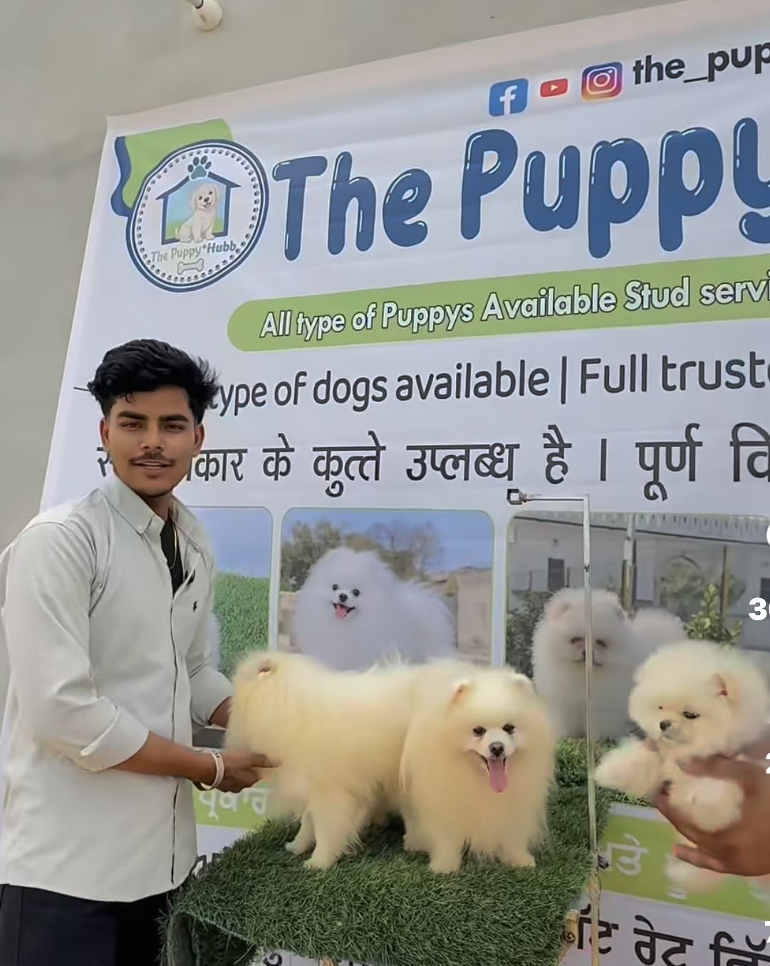 The Puppy Hub in Dhaula, Punjab 148107, India, Punjab | PunjabsList
