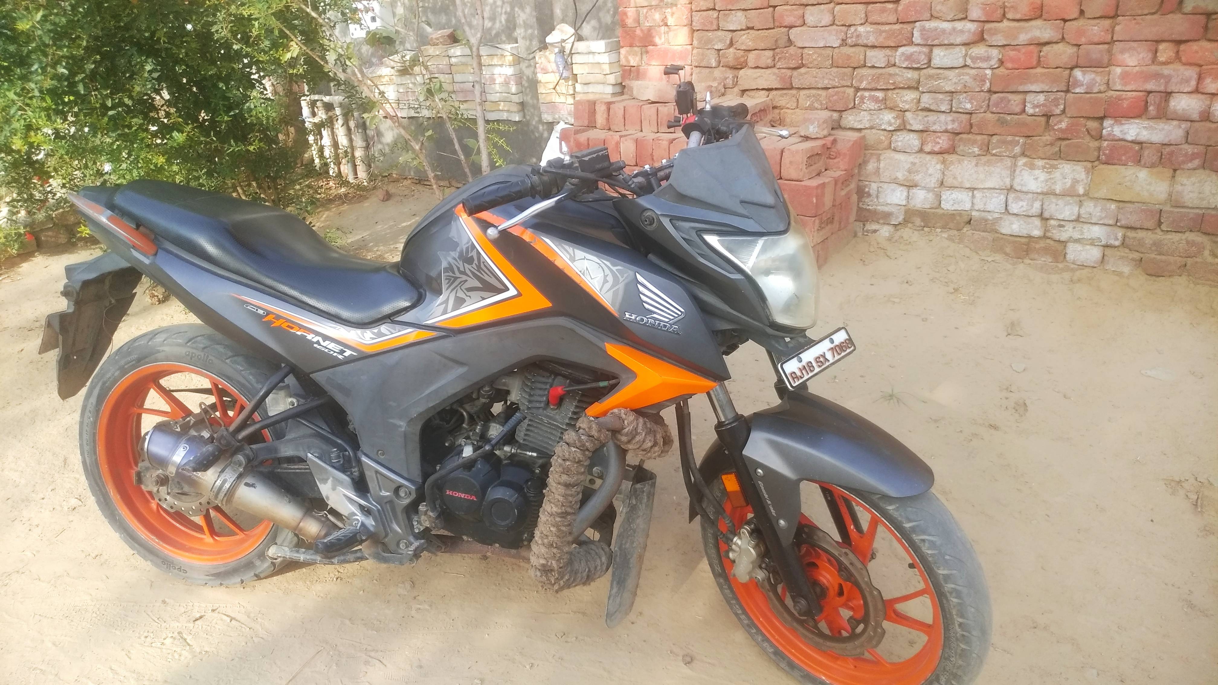 Hornet in Dhoorkot, Punjab 148107, India, Punjab | ₹30000