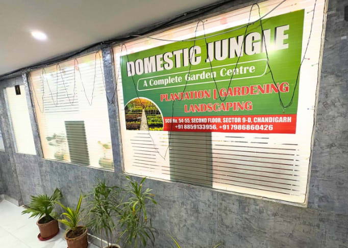 DOMESTIC JUNGLE . in Chandigarh, India, Punjab | PunjabsList