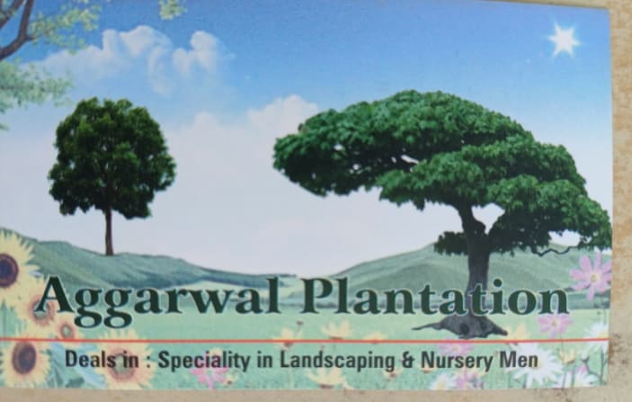 Aggarwal plantation in Chandigarh, India, Punjab | PunjabsList