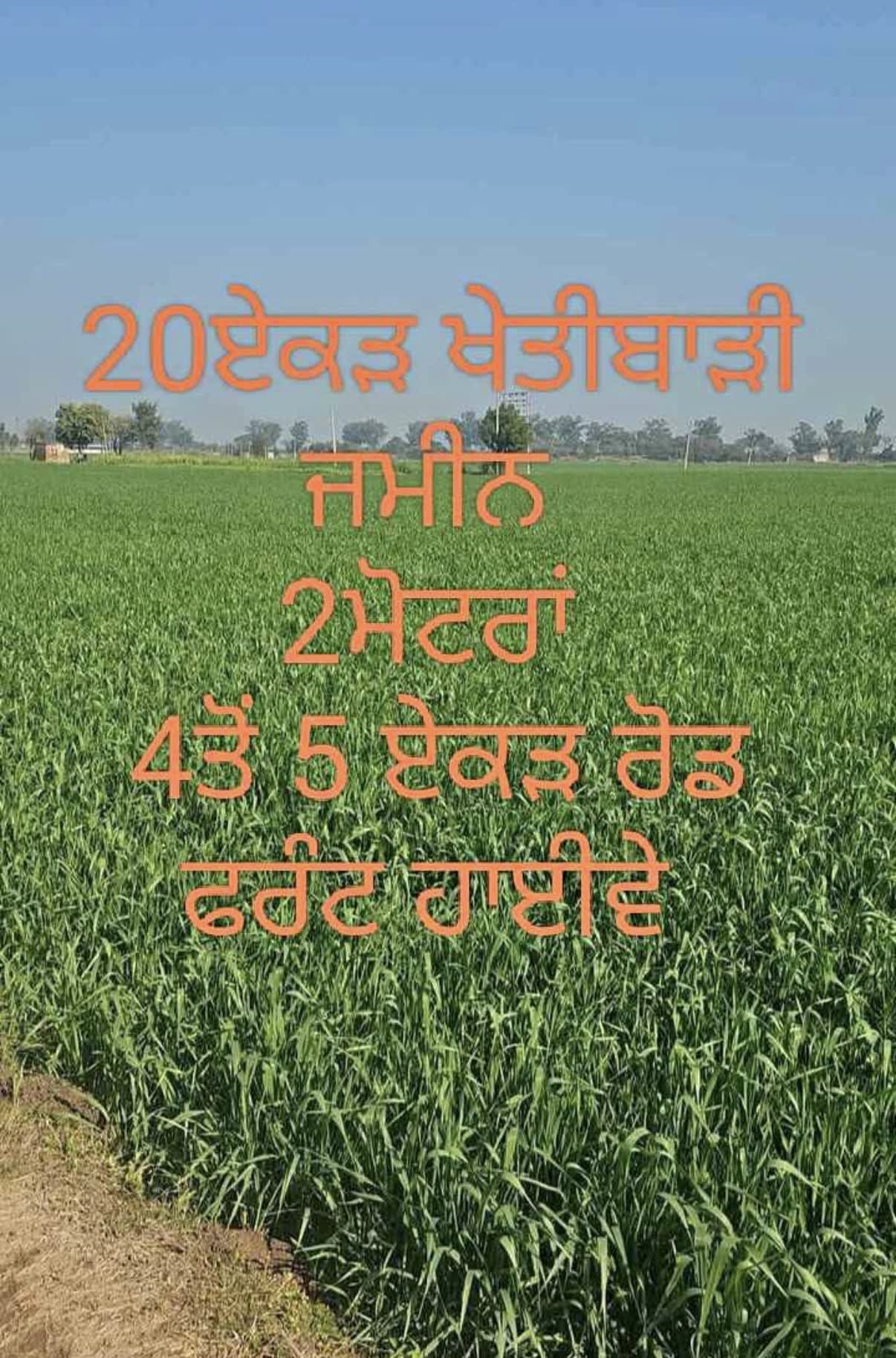 20 Acres for sale in Patiala, Punjab, India, Punjab | PunjabsList