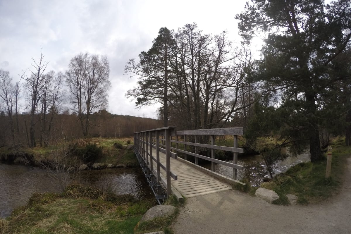 Pont sur le Loch Morlich