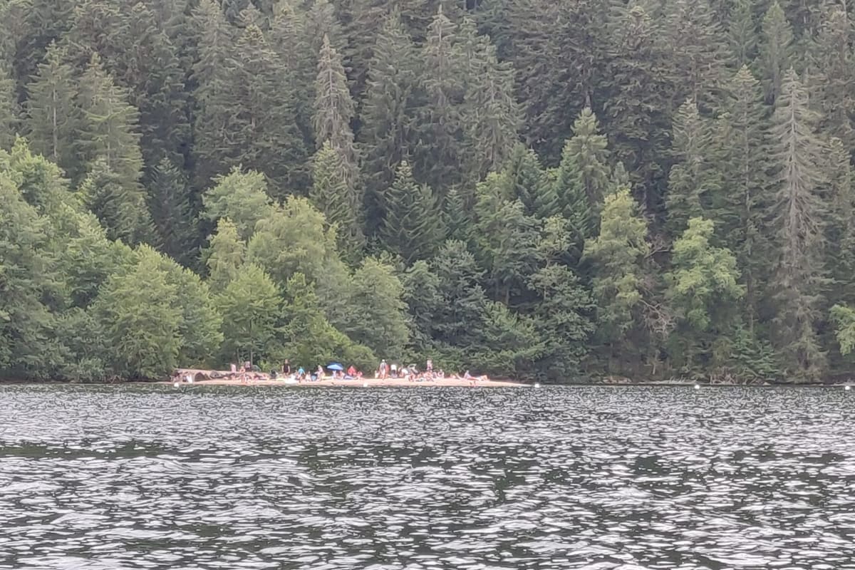 Petite plage à Gérardmer