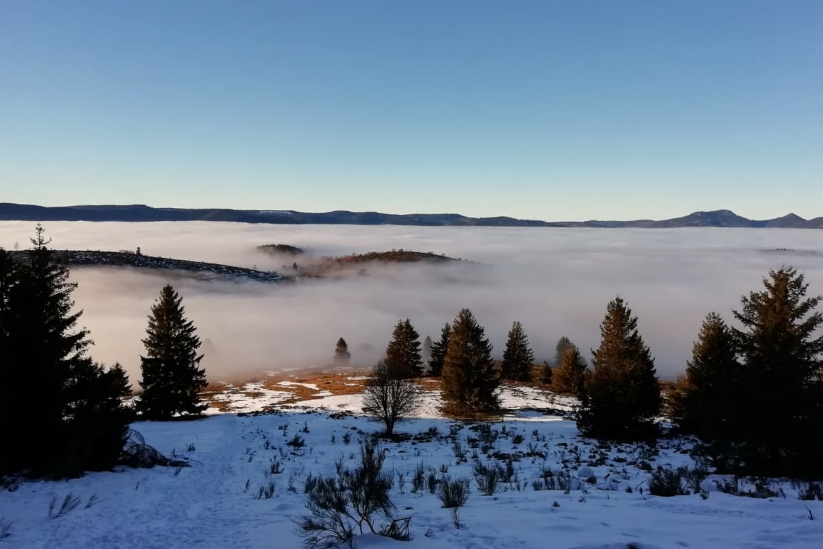 Paysages des Vosges