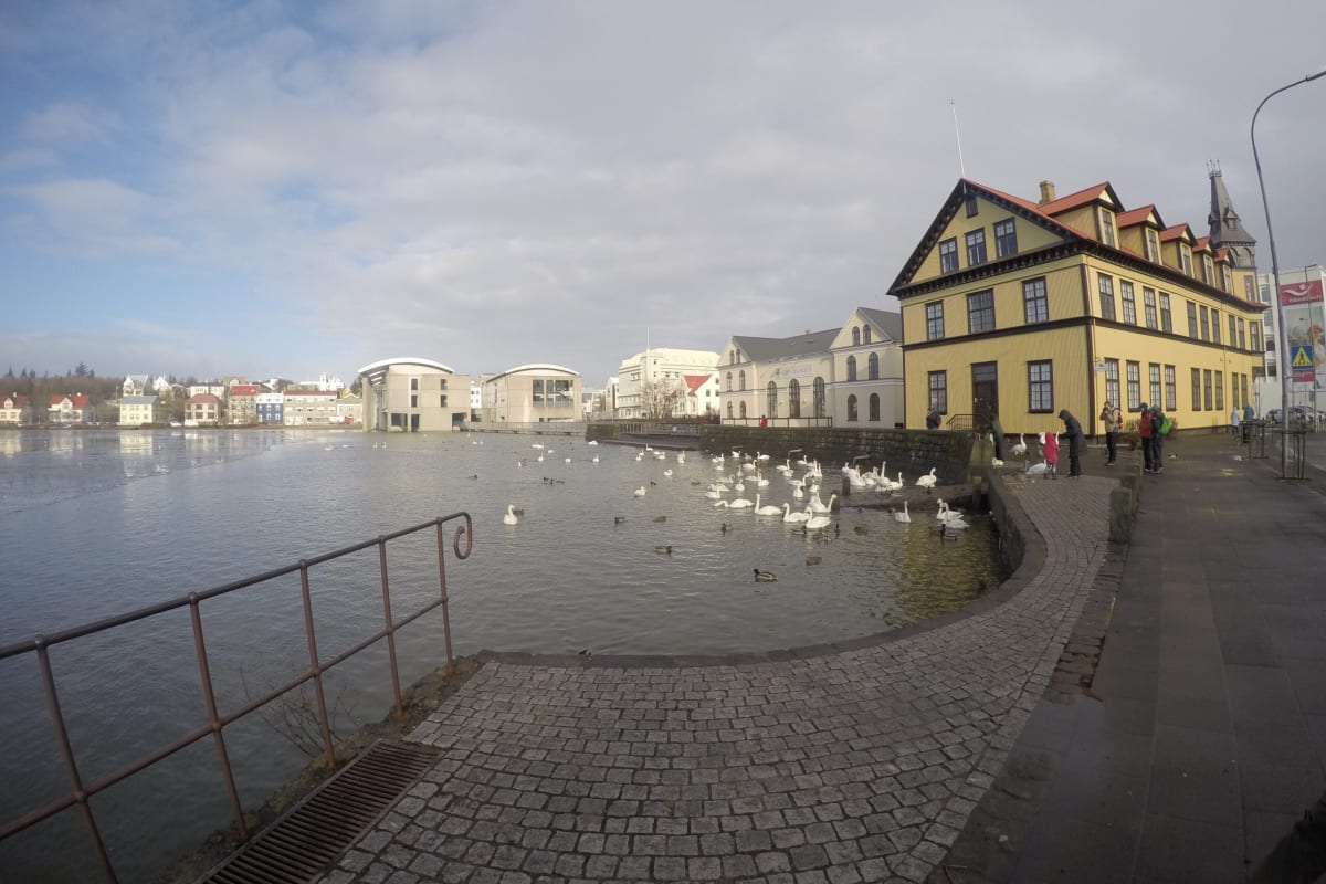 Lac Tjornin à Reykjavik