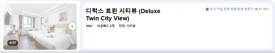 디럭스 트윈 시티뷰 (Deluxe Twin City View)