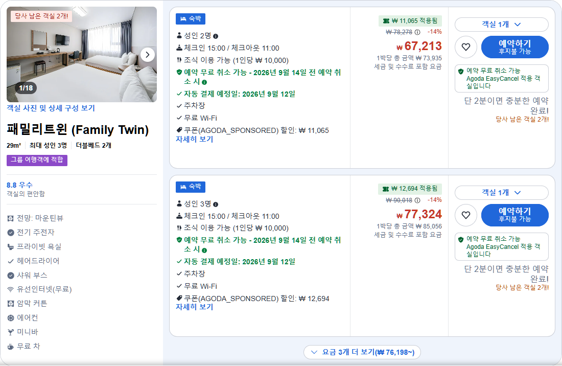 패밀리트윈 (Family Twin)