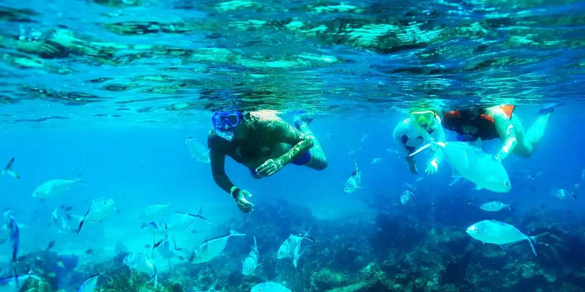 Catalina Island Snorkeling