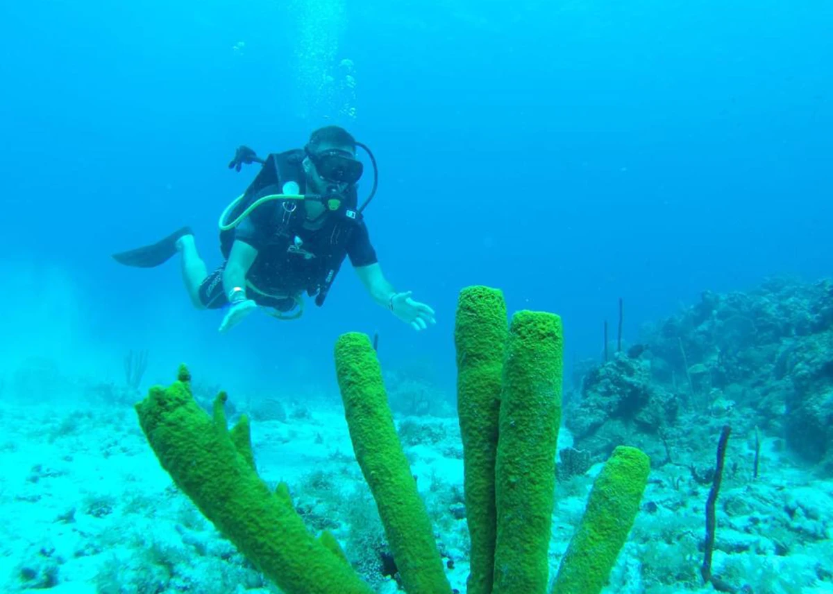 Catalina Island Scuba Diving