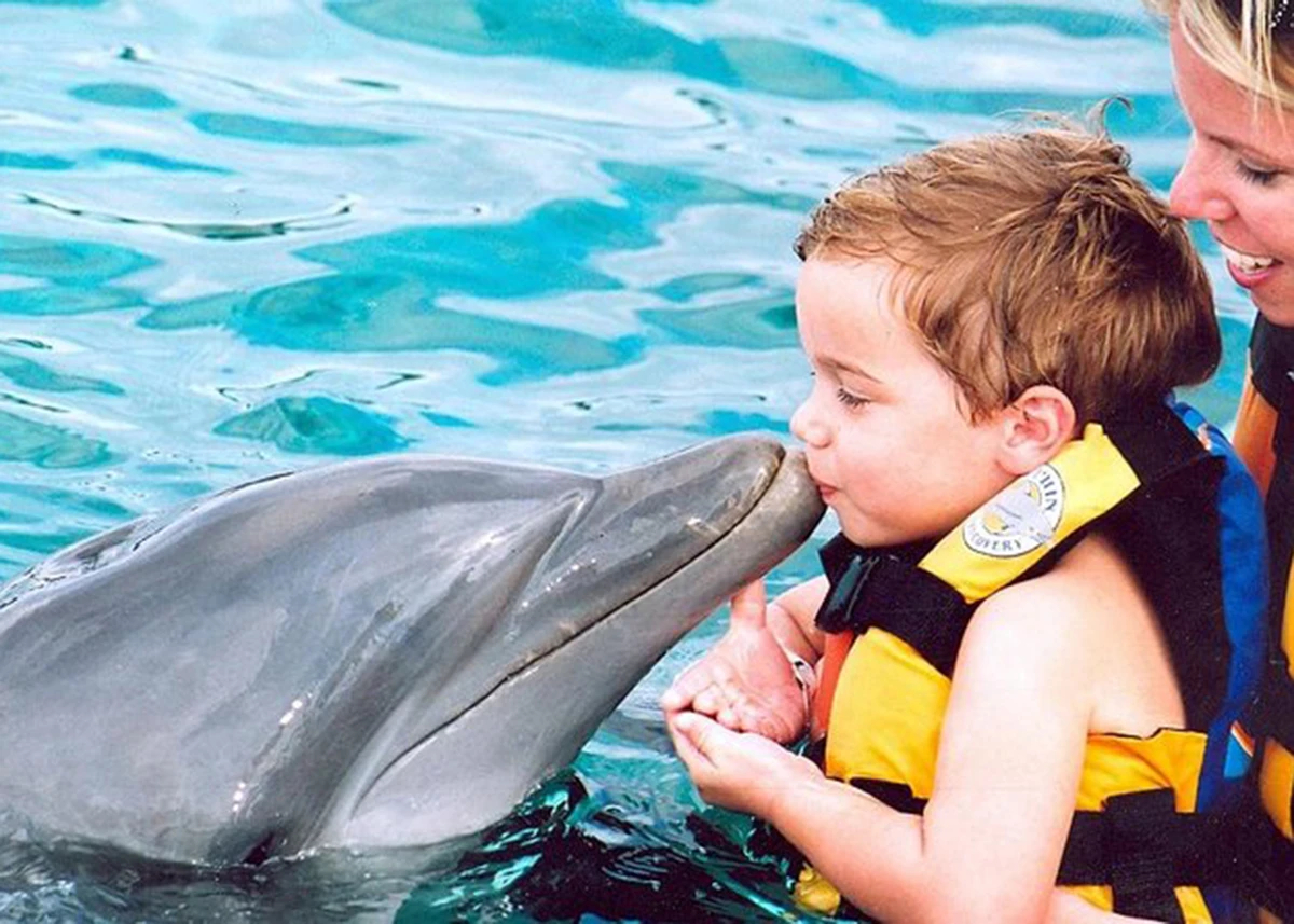 Dolphin Explorer