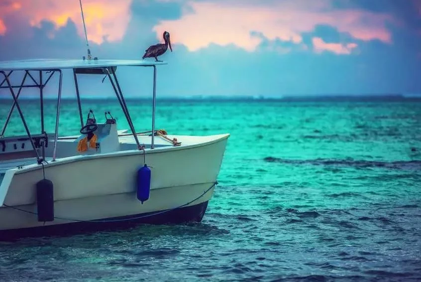 Deep Sea Fishing Punta Cana