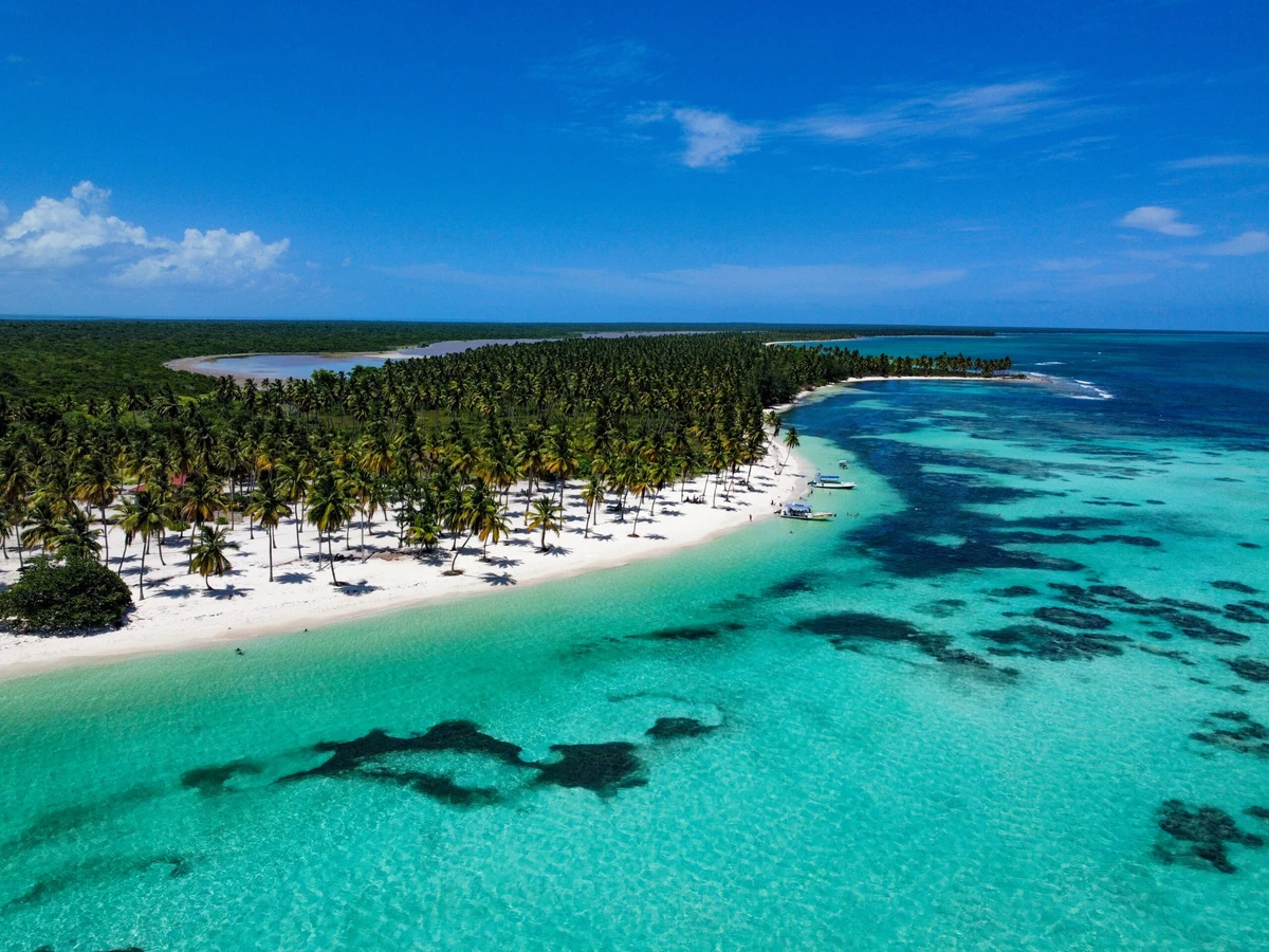Panoramic view of Saona Island turquoise waters and palm trees