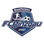 Pinzgau Saalfelden logo