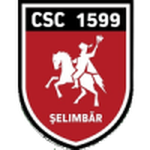 Viitorul Şelimbăr logo