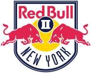 New York RB II logo