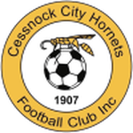 Cessnock City Hornets logo