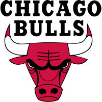 Bulls Playoffs logo