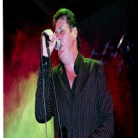 Tony Hadley logo