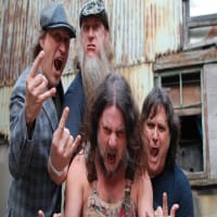 Hayseed Dixie logo