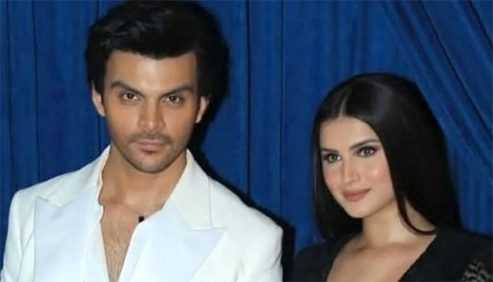 تارا سوتاریہ اور ویر پہاڑیا کے درمیان علیحدگی کی خبریں گرم 