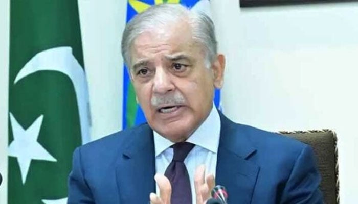 حالات کی بہتری تک متعلقہ ادارے ہنگامی اقدامات کیلئے تیار رہیں ، وزیر ...