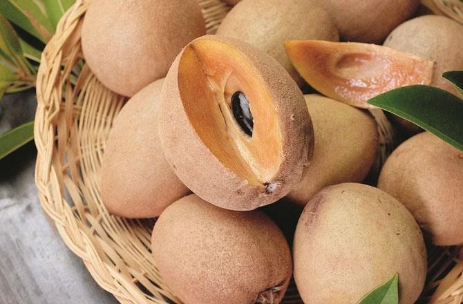 چیکو کینسر سے بچانے والا اور انکھوں کے لئے فائدے مند پھل