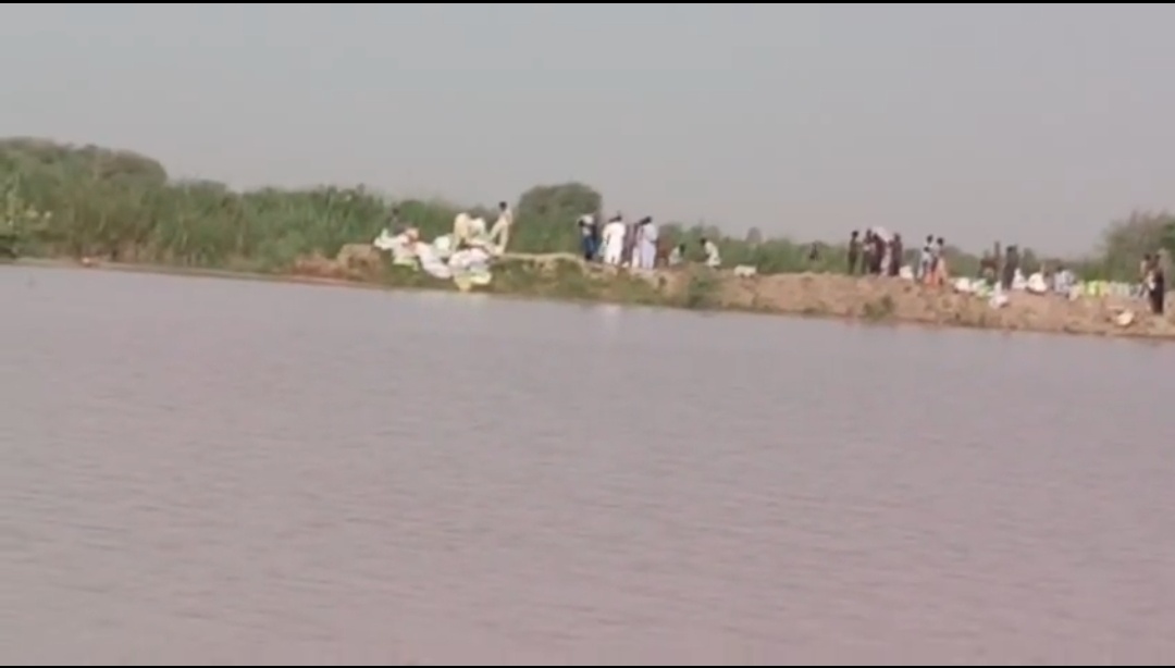 سانگھڑ میں نارا کینال میں شگاف ، کپاس کی تیار فصل اور آم کے باغات زیرِ آب