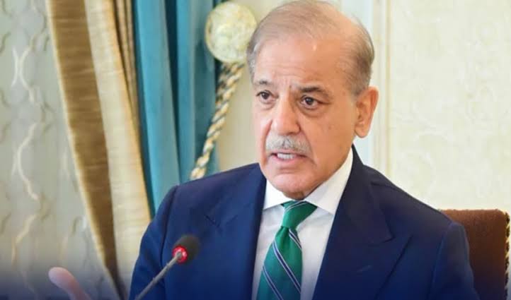 خطے میں امن و استحکام کیلئے متحرک، پاکستان خلوص نیت سے امن عمل کا حصہ بن رہا ہے، شہباز شریف