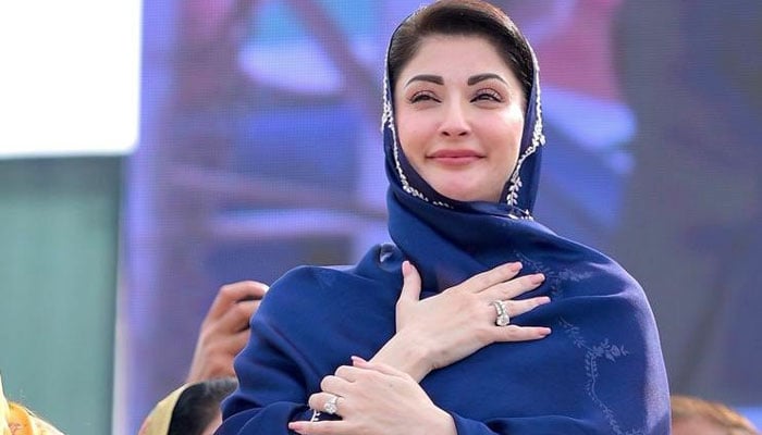 یوم عاشور کا پرامن انعقاد، پوری ٹیم کا کردار قابل ستائش ہے، وزیر اعلیٰ پنجاب