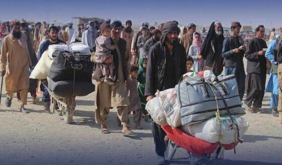 ڈیڈ لائن ختم! وفاق کا صوبوں کو غیرقانونی افغان شہریوں کی گرفتاری کیلئے اقدامات تیز کرنے کا حکم