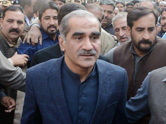 بلاول کے شیر کے شکار کے بیان پر سعد رفیق کا طنز، زنگ آلود تیر سے شیر نہیں گرتا
