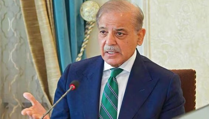 دہشت گردی کے پیچھے بھارت کا کردار ، بلوچستان کی ترقی قومی ترجیح ہے، وزیراعظم شہباز شریف
