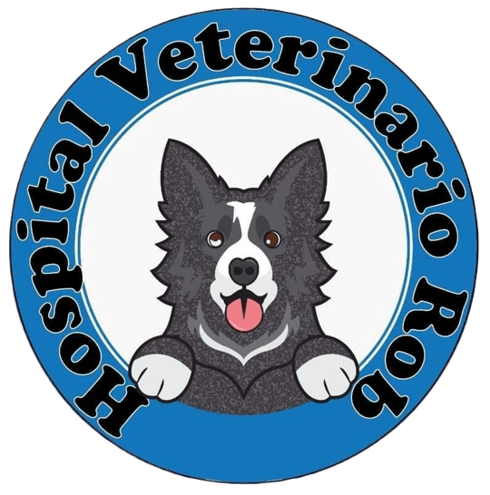 logo veterinaria