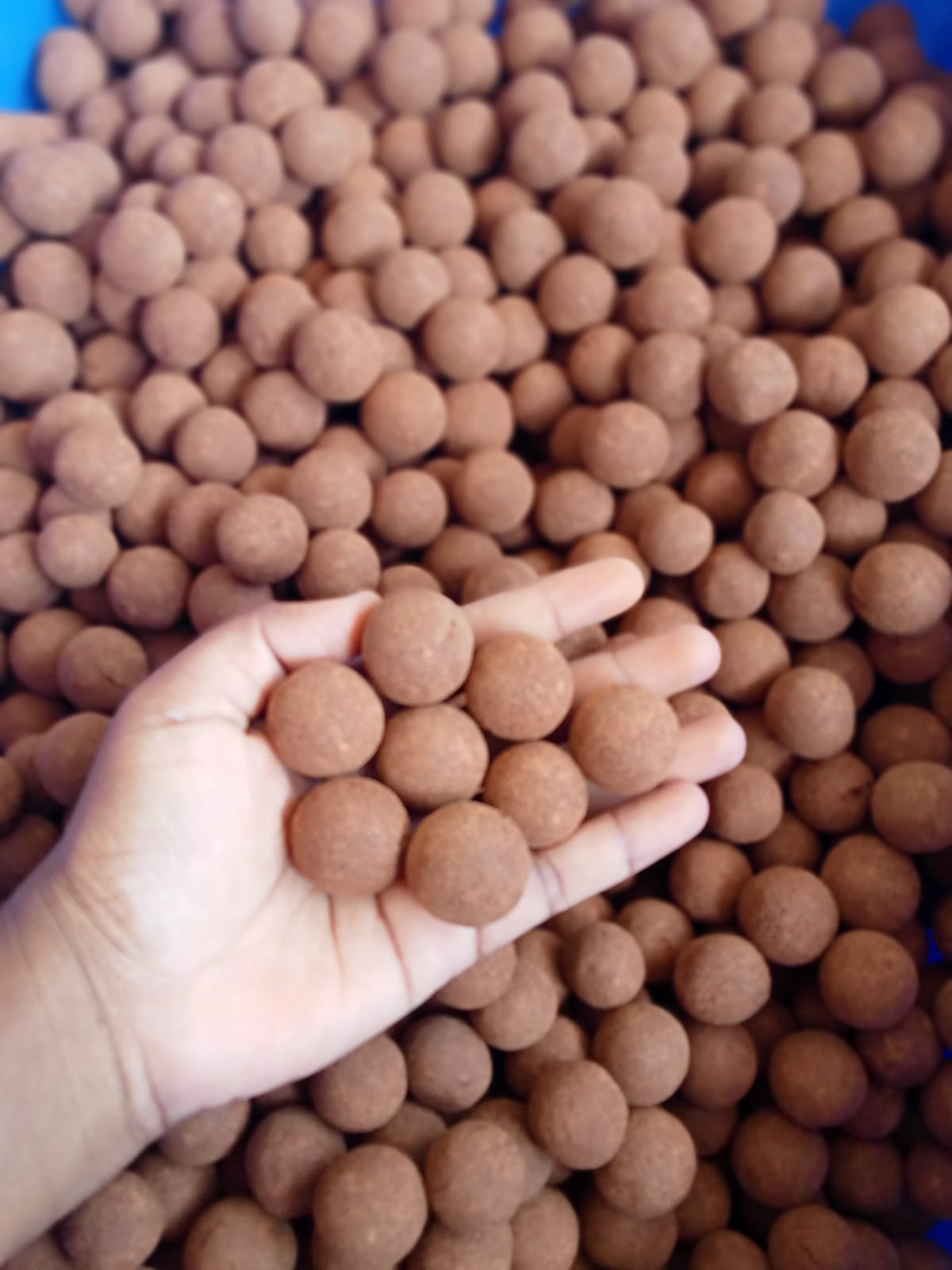 Multi Vegetables seed balls - image 1