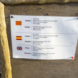Languages Thumbnail