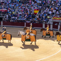 Bullfighting in Spain Thumbnail