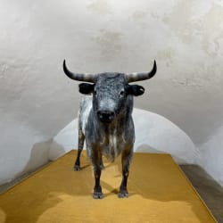 Spanish Sculpture Thumbnail